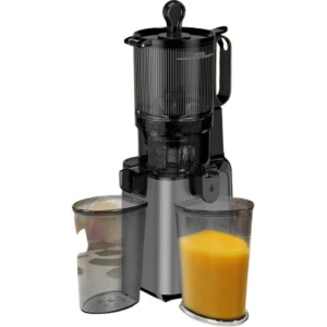 YPONE 400W Professional Slow Masticating Juicer